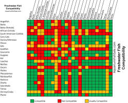 guppy compatibility chart freshwater fish compatibility