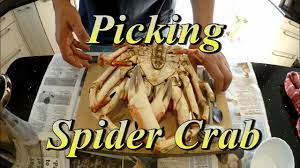 🦀 Picking Preparing Spider Crab Without Shell - Youtube