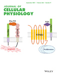 We did not find results for: Journal Of Cellular Physiology Wiley Online Library