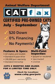 Great Campaigns For Pet Adoption Pet Adoption Event Dog Marketing Animal Shelter