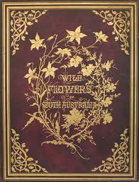 H 7 7/8 x w 6.5 interior pages: Gold Tooling Embossing Stamping Or Blocking Which One Is It Rare Books Manuscripts