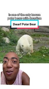 Dwarf with Aggression Problems in German