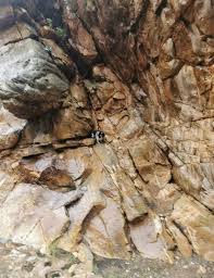 Dog rescued from mountainous area after owner killed in car crash