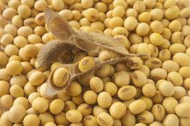 Tapi, di balik itu kacang harimau sangat baik bagi kesehatan. 9 Jenis Kacang Yang Kaya Nutrisi Dan Populer Di Indonesia Merdeka Com