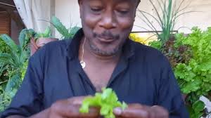 VERTIBIO, et vous... qu'en pensez-vous ?