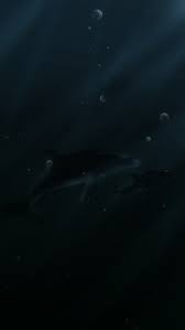 Dolphins In The Dark Waters Digital Art Iphone Wallpapers Free Download The most common iphone wallpaper art material is fabric. dolphins in the dark waters digital art