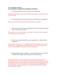 In an extremely elegant way, that's how. Dna Structure And Replication Worksheet Answers Nidecmege