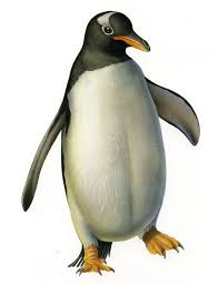 International Directory Of Children S Illustrators Penguin Art Animals Images Penguins