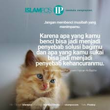 Pin Oleh Wita Indri Di Islampos Di 2020 Inspirasi