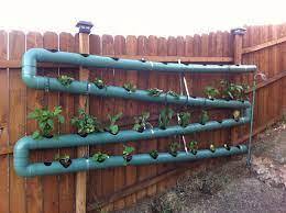 My Diy Aquaponics System So Far So Good 40ft Of Pvc And 36 Spots For Plants Aquaponics Aquaponics System Aquaponics Diy