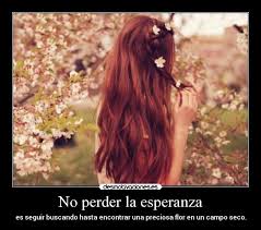 No perder la esperanza | Desmotivaciones