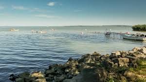 A kilátogatott a nyitóhétvégére, ahol óriási tömeg volt kíváncsi nóráék boltjára, és még a hideg, esős idő sem tántorította el őket. Ennyi Volt Koltozik Ordog Noraek Balatoni Kisboltja Kiharcoltak A Helyiek Hellovidek