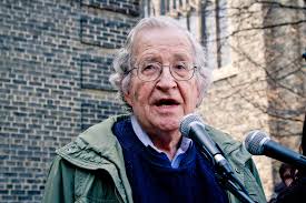 The Chomsky Effect With Robert Barsky