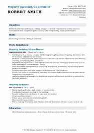 Real estate accountant jobs description. Property Assistant Resume Samples Qwikresume