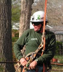 Reliable lawn mowing in decatur, ga. Appleseed Tree Service