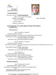 Europass cv template free download. Europass Cv 121013 Final Pdf Communication Technology Engineering