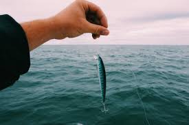 Teach a man to fish and you feed him for a lifetime. 85 Best Fishing Quotes Phrases And Sayings By Kidadl