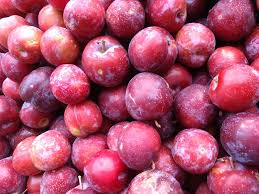 12 Manfaat Buah Plum Mengandung Banyak Vitamin Mineral Dan Antioksidan Rumah123 Com