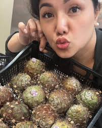 Lindastropicalfruits