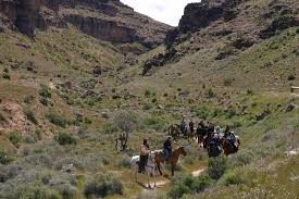 If you like riding beaten up horses on the street this is for you. Ridespage Cowboy Trail Rides