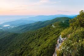 National Parks 10 Great Campgrounds At Zion Glacier Shenandoah