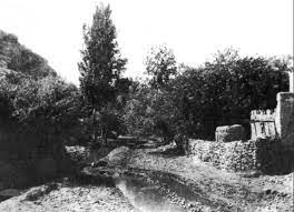 سيل الزرقاء رحلة نهر يبوق إلى بؤرة التلوث outdoor wood