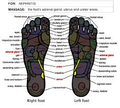How To Relieve Nephritis With Foot Massage Herbalshop