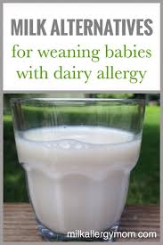 But you will need to make changes in your own diet because. Dairy Free Milk Alternatives For Toddlers With Allergy