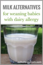 I stopped giving him a morning bottle while i am at work, so we tried introducing rice milk with his breakfast. Milk For Toddlers With Milk Allergy