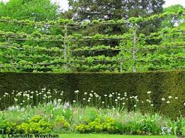 Pin By Caroline Tatham On Garden Garden Architecture Garden Design Garden Inspiration