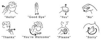 To pick up on new words and phrases, try watching movies and tv shows in. History Of Sign Language Sign Language Words Learn Sign Language Basic Sign Language Words
