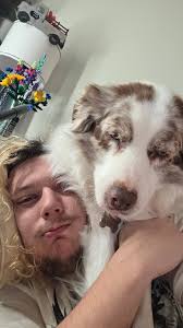 Lost dog near West Weber cemetery?