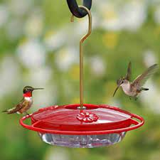 Hummingbirds are some of the most. Aspects Hummzinger Mini Hummingbird Feeder 8 Oz At Bestnest Com