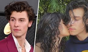 Every Shawn Mendes Song He's Written About Girlfriend Camila Cabello
