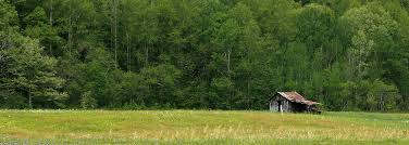 Obituary for Morris Wright