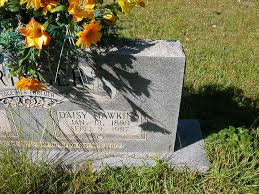 Dora Daisy Hawkins Springer (1890-1987)