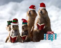 Online url of the card can be easily shared via email, social. Good Christmas Card Quotes From Dog Business How To Sell Handmade Greeting Cards Dogtrainingobedienceschool Com