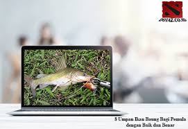 Baca disini rekomendasi umpan ikan baung paling jitu untuk mancing di sungai pada siang hari maupun malam hari. 8 Umpan Ikan Baung Bagi Pemula Dengan Baik Dan Benar