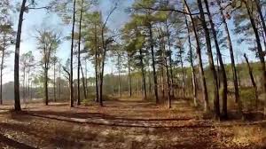 Turn west onto honeycutt rd approx. Fort Bragg Fayetteville North Carolina Smith Lake Trail Youtube