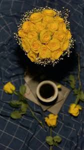 أينما وجد الورد الاصفر وجد الجمال Beautiful Arabic Words Bff Pictures Beautiful Words