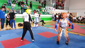 Jun 04, 2021 · en el año 2000, en la celebración de los 50 años del nacimiento del cdi recibió el premio al deportista en futbol, junto con sus compañeros de otros deportes y recibiendo el premio de parte de la medallista de oro soraya jiménez (qepd), y por cambiar de año y de siglo, se les catalogó atletas del siglo para el cdi. Leon Samm 2do Combate Deportivo Soraya Jimenez 051116 Youtube