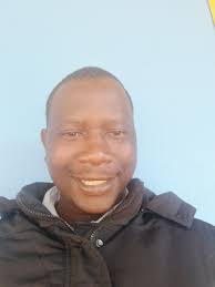 🏅 10 Best Tree Stump Removal Pros in Alberton