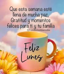 Feliz inicio de semana Feliz lunes 🦋🌻🦋 #frasesgratitud ...