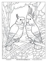 Pages are perforated and printed on one side only for easy removal and display. Download Or Print This Amazing Coloring Page Birds Book One Coloring Pages Animal Coloring P Bird Coloring Pages Jungle Coloring Pages Animal Coloring Pages