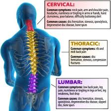 Pin On Back Pain