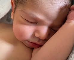 Lifecycles for the week of June 11, 2021