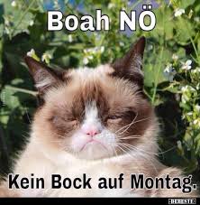 20 Lustige Bilder Von Kein Bock In 2020 Lustig