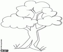 They will know the colors of trees and how to draw a simple tree and a palm tree. Trees Coloring Pages Printable Games