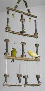 Vogelschaukel 3 Stockig Mit Glockchen Nymphensittich Und Wellensittich Wellensittich Nymphensittich Sittiche