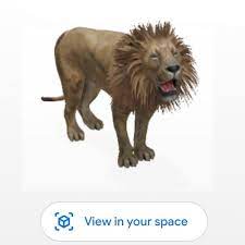 3d Animal Full Hd Lion 3d 3d Animal